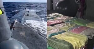 Watch: Portuguese Navy Seizes Narco-Sub Carrying 1.7 Tonnes of Cocaine, 4 Arrested