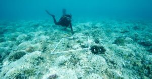 World’s First Global Treaty To Protect Ocean Life In International Waters Takes Effect