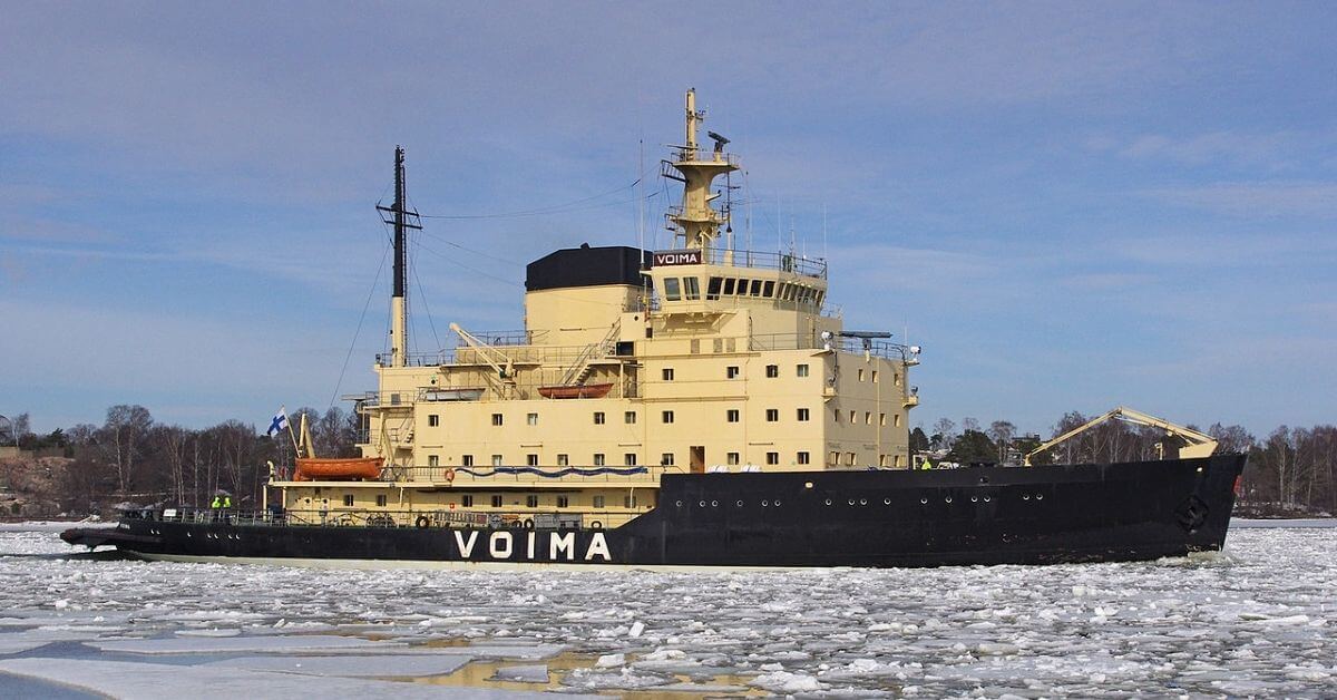 Voima